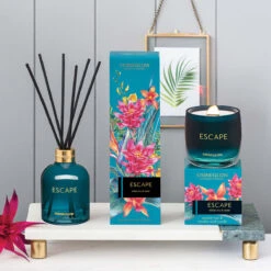 Stoneglow Infusion Escape White Tea & Mint Reed Diffuser 7 Stoneglow Infusion Escape White Tea & Mint Reed Diffuser -Campusgifts Shop 6845 stoneglow infusion escape reed diffuser lifestyle 1