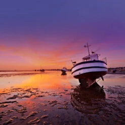 Home County Candle Co. The Essex - Champagne & Pomelo Reed Diffuser 5 Home County Candle Co. The Essex - Champagne & Pomelo Reed Diffuser -Campusgifts Shop home county co essex fragrance range 1