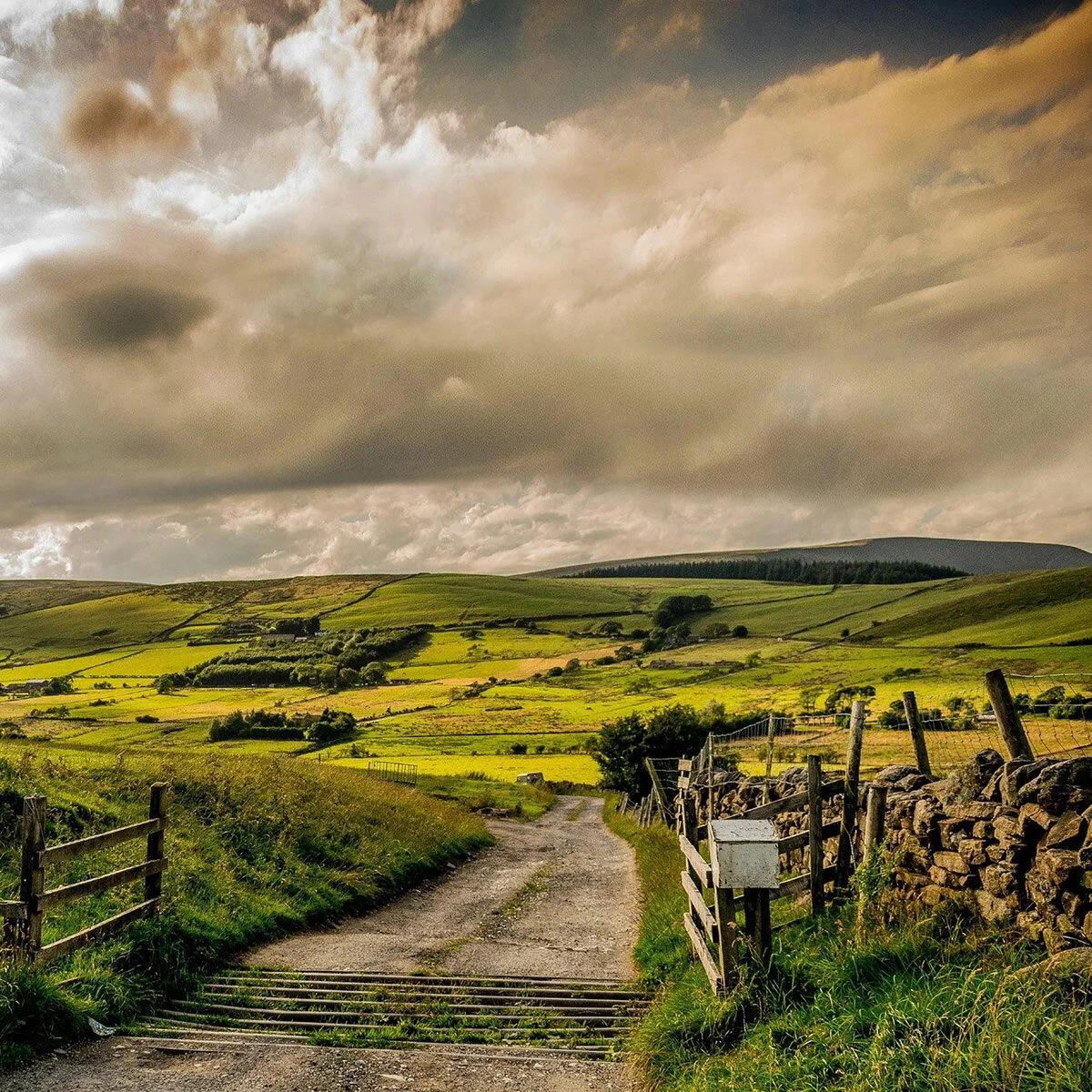 Home County Candle Co. The Lancashire - Red Rose & Patchouli Soy Candle 4 Home County Candle Co. The Lancashire - Red Rose & Patchouli Soy Candle - Image 2