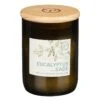 Paddywax Eco 226g Eucalyptus And Sage Green Recycled Glass Soy Candle 2 Paddywax Eco 226g Eucalyptus And Sage Green Recycled Glass Soy Candle -Campusgifts Shop paddywax eg13eu eco eucalyptus sage recycled glass candle 01