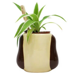 Wallace & Gromit– Gromit Shaped Plant Pot -Campusgifts Shop plntaa05 wallace gromit gromit shaped plant pot 2