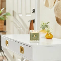 Yankee Candle Sage & Citrus Signature Medium Jar Candle 7 Yankee Candle Sage & Citrus Signature Medium Jar Candle -Campusgifts Shop yankee candle 1629995e sage citrus signature medium jar candle lifestyle 1