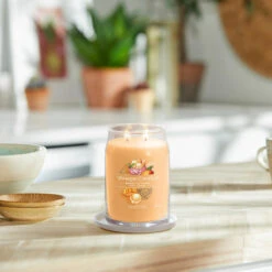 Yankee Candle Mango Ice Cream Signature Large Jar Candle 9 Yankee Candle Mango Ice Cream Signature Large Jar Candle -Campusgifts Shop yankee candle 1632326e mango ice cream signature large jar candle lifestyle 2