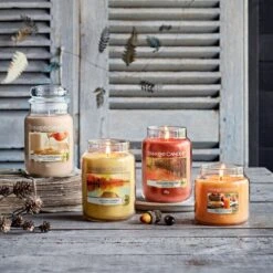 Yankee Candle Farm Fresh Peach Medium Jar Candle 5 Yankee Candle Farm Fresh Peach Medium Jar Candle -Campusgifts Shop yankee candle woodland road trip lifestyle 3